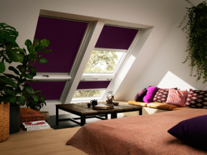 GDL Cabrio Fenster Velux