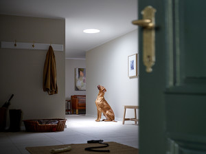Tageslichtspot