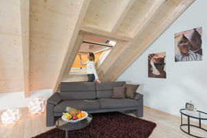 Schwingfenster Designo R7