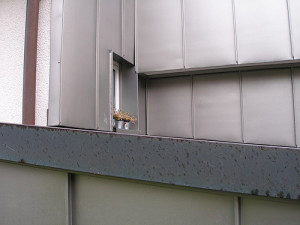 Stehfalz-Fassade