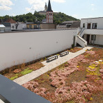 Siegburg City Gate Extensivbegrünung