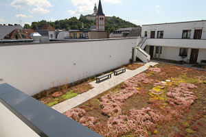 Siegburg City Gate Extensivbegrünung